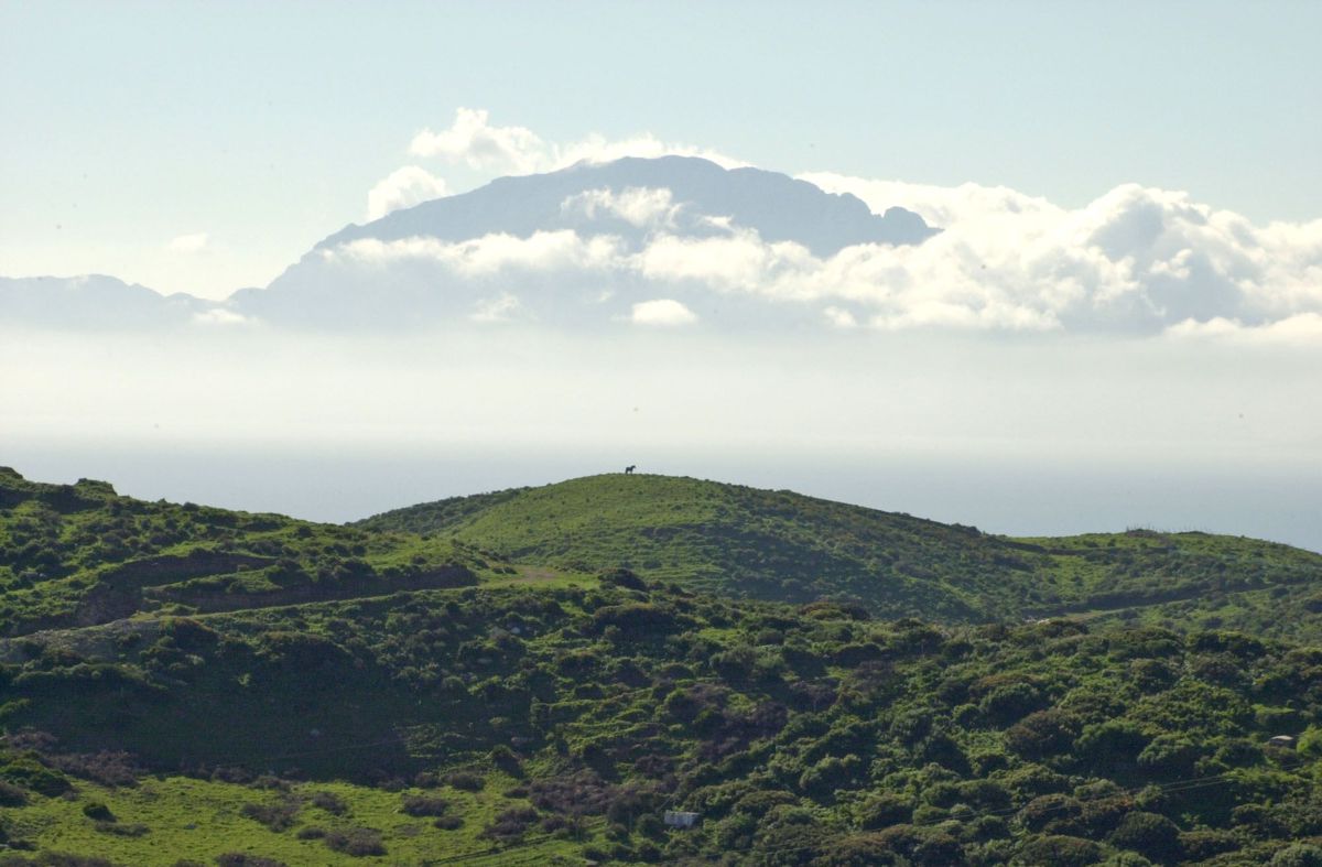 Dieser Blick entschädigt für das harte Training