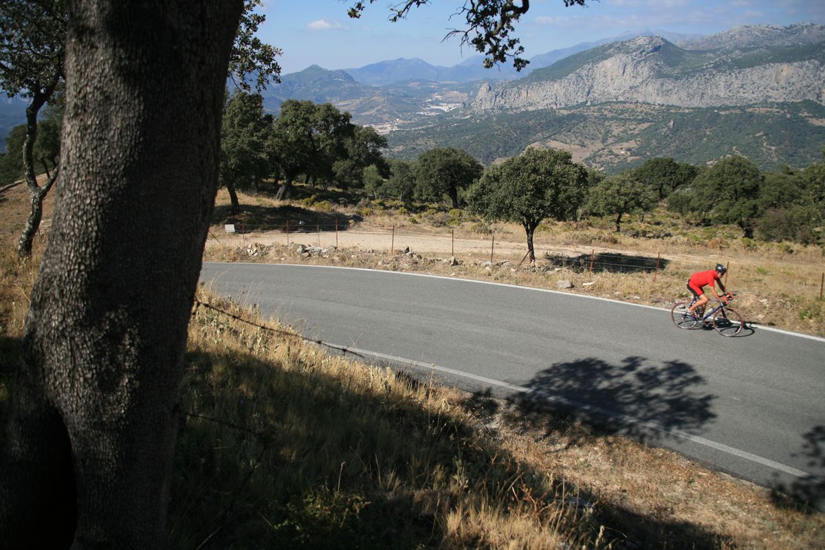 Hier findet jeder was er suchft f�r sein Trainigsprogramm