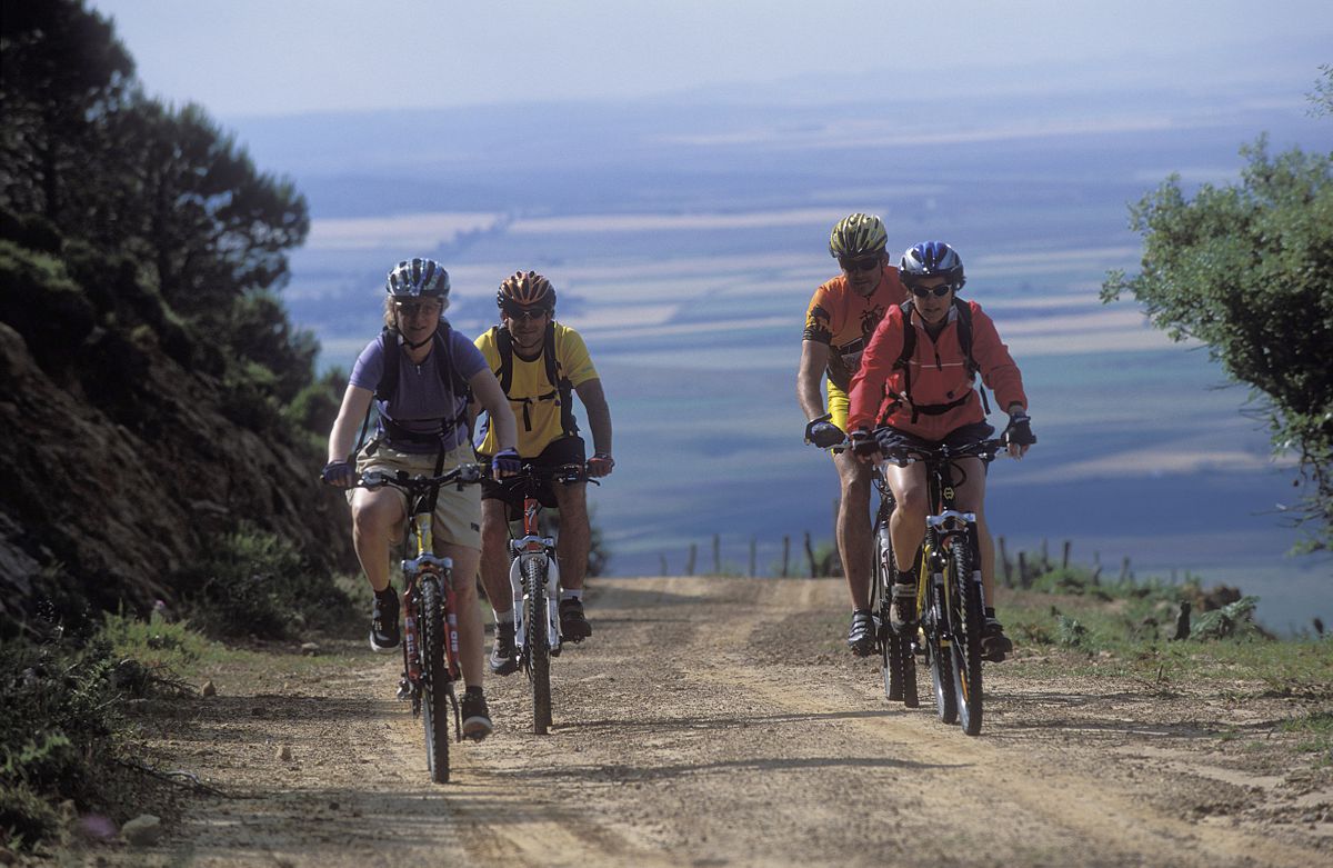 Mit dem Moutainbike in der Natur unterwegs