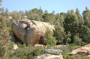 Auch in der Umgebung von Tarifa zu finden eine Abwechslungsreiche Natur